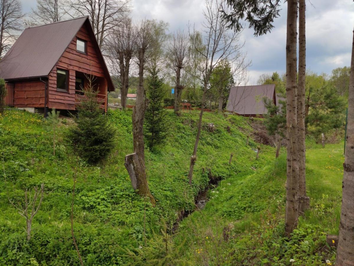 Za Potokiem Villa Solina  Kültér fotó