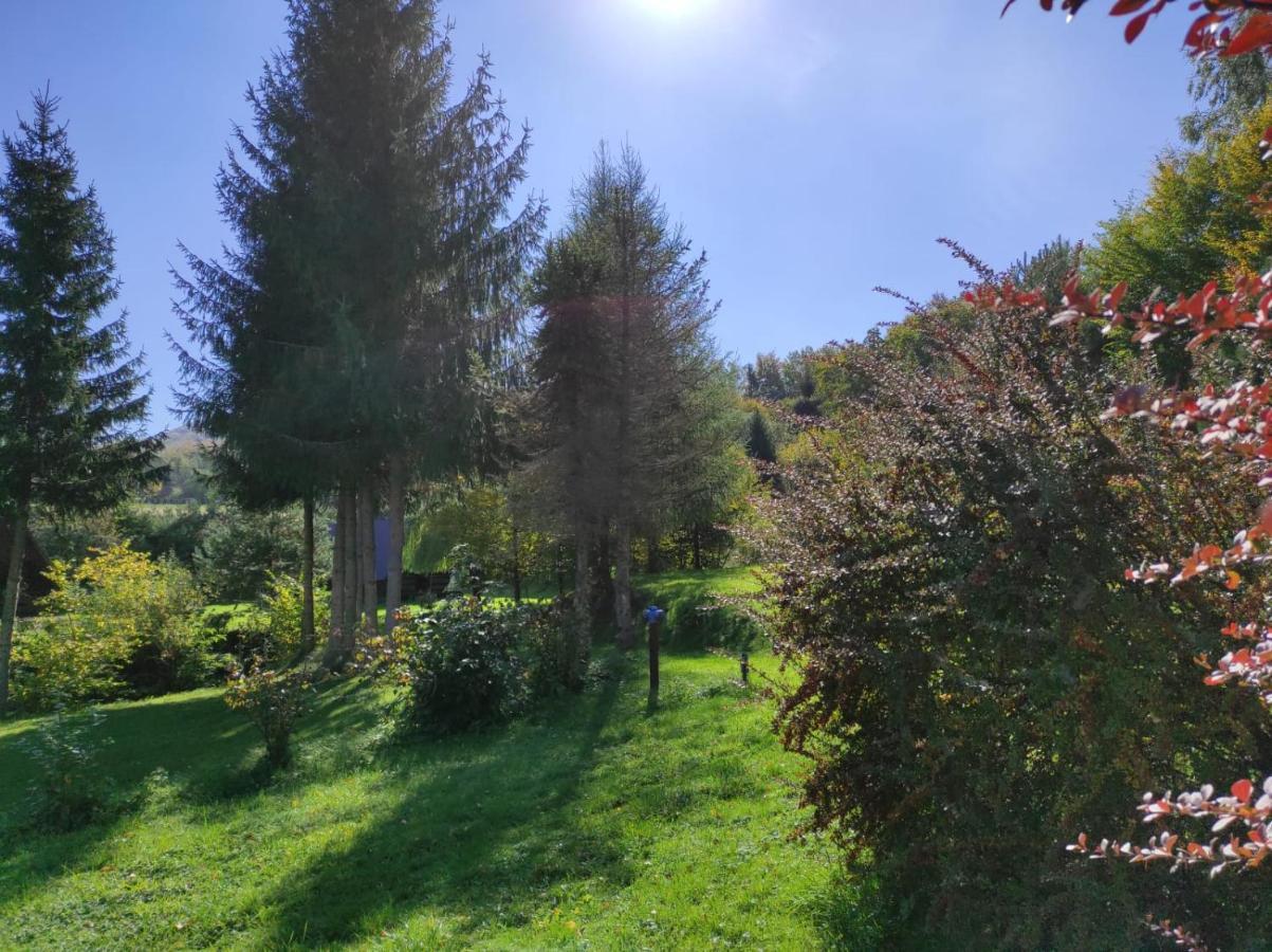 Za Potokiem Villa Solina  Kültér fotó