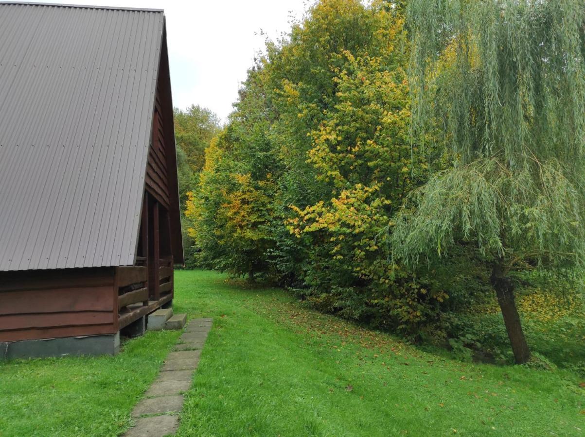 Za Potokiem Villa Solina  Kültér fotó