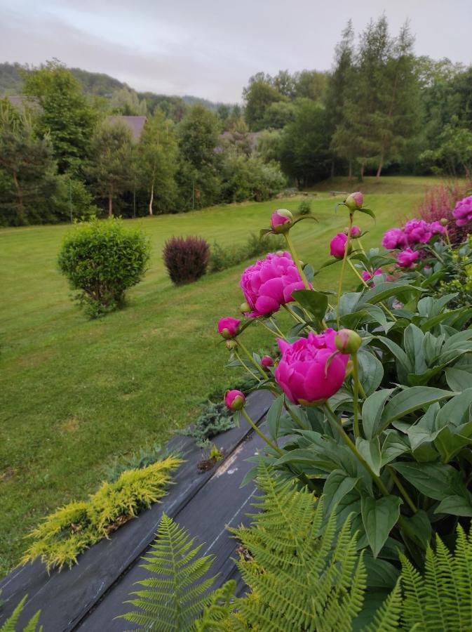 Za Potokiem Villa Solina  Kültér fotó