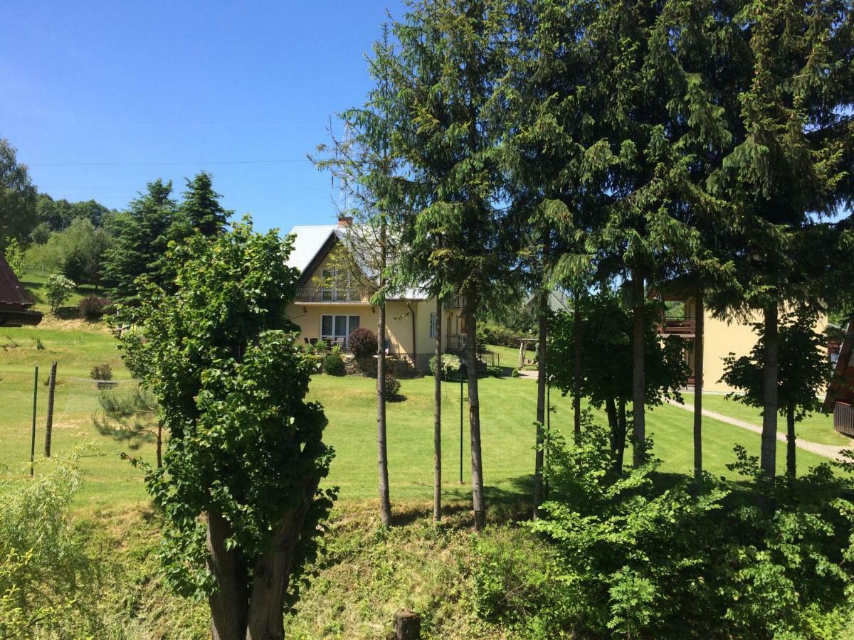 Za Potokiem Villa Solina  Kültér fotó