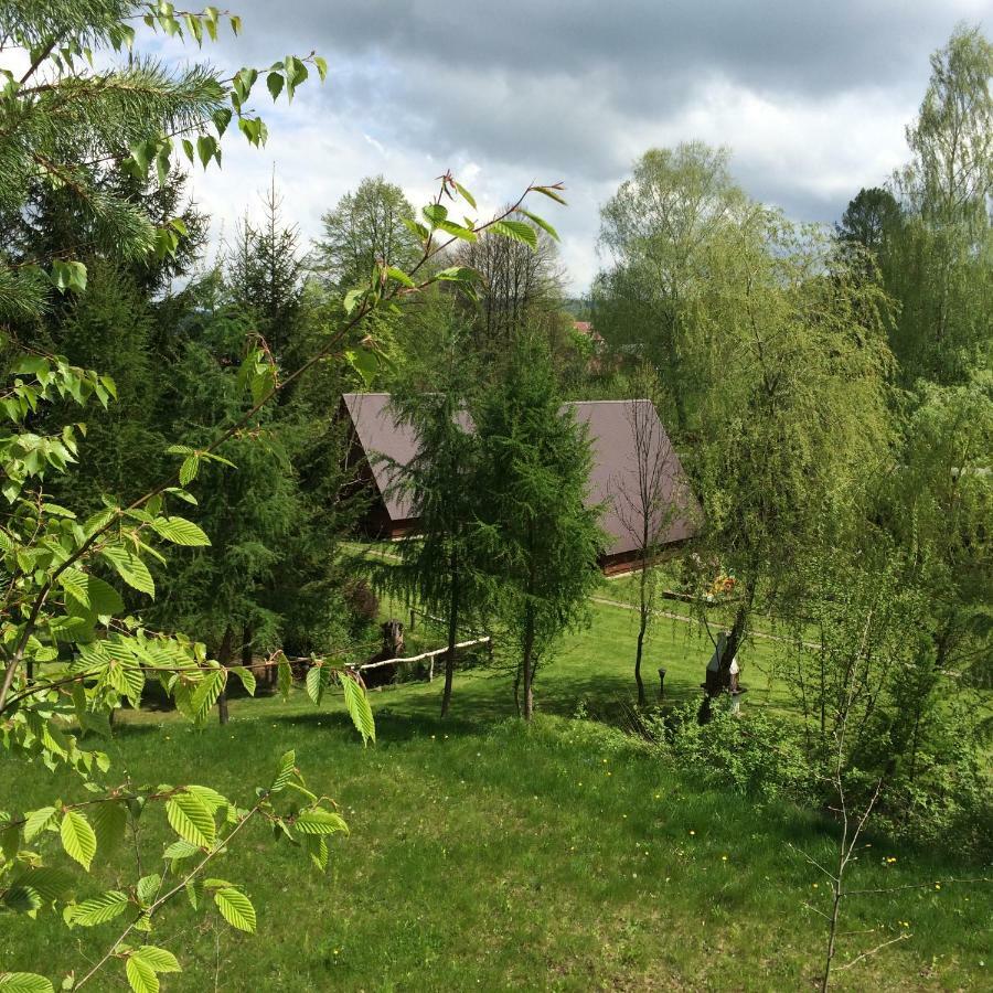Za Potokiem Villa Solina  Kültér fotó